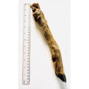 hair roe deer leg