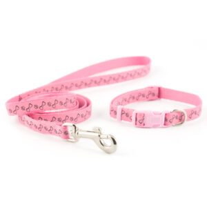 SMALL BITE REFL PAW&BONE COLLAR LEAD SET PINK