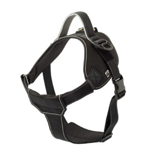 Dog Leads and Harnesses