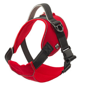 Dog Collars, Leads, Harnesses and Muzzle's