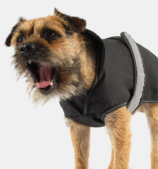 all season dog coat