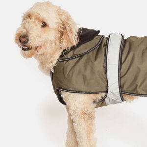 2 in 1 dog coat all season