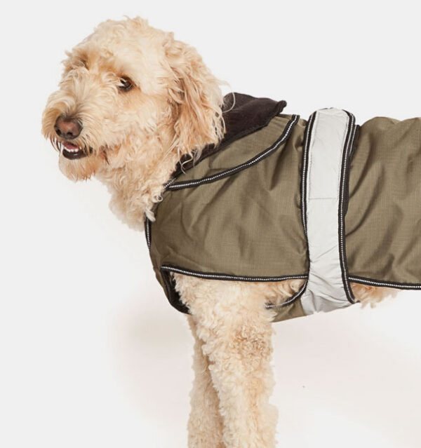 2 in 1 dog coat all season