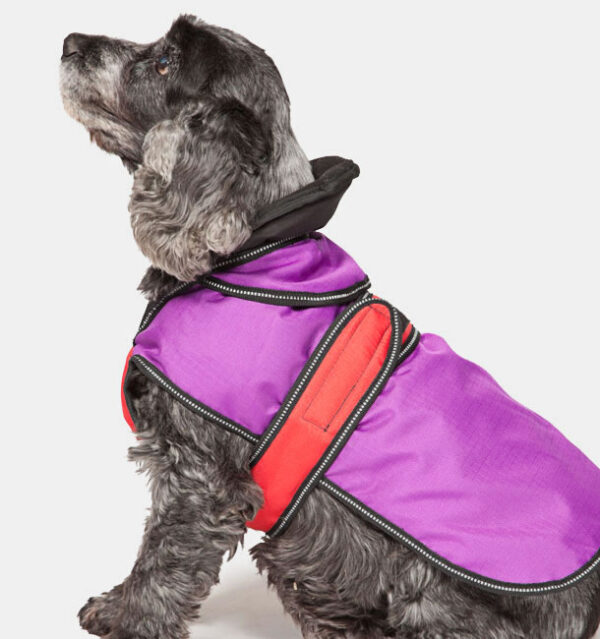 all season dog coat