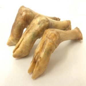 Lamb Trotters Single