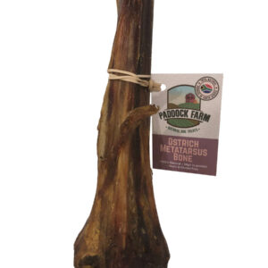 Antos Paddock Farm Ostrich Metatarsus Bone