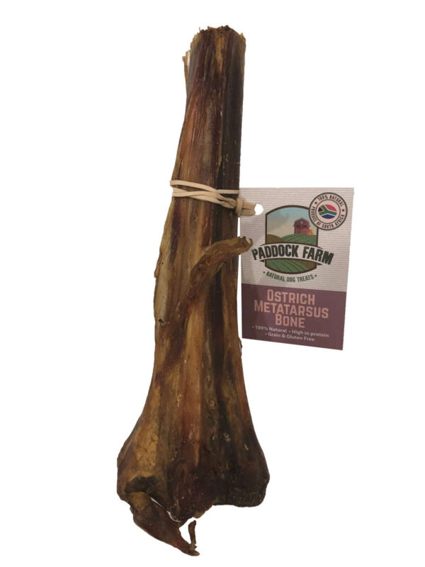Antos Paddock Farm Ostrich Metatarsus Bone