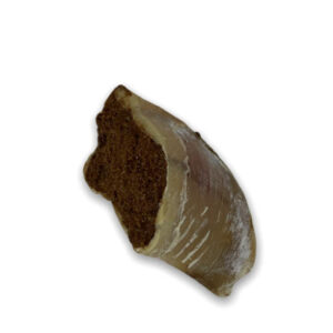 Anco Natural Venison Filled Cow Hoof