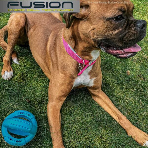 Ancol Fusion Hybrid Dog Toys - Image 4