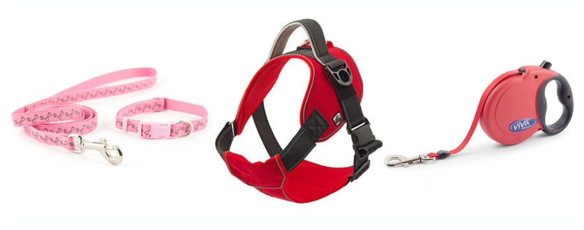ANCOL DOG COLLARS AD HARNESSES AND LEADS