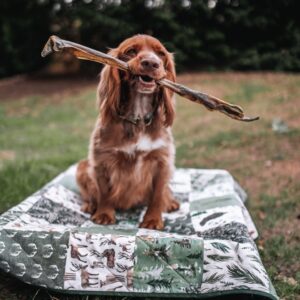 Anco Naturals Giant Deer Stick