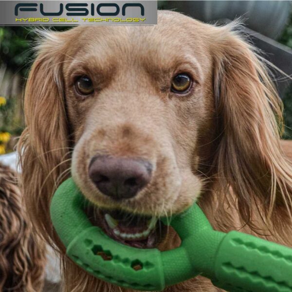 Ancol Fusion Hybrid Dog Toys - Image 3