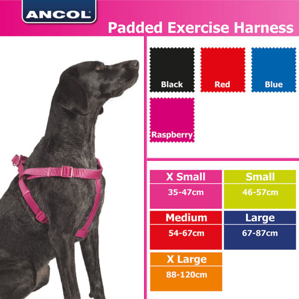 ANCOL PADDED NYLON DOG HARNESS