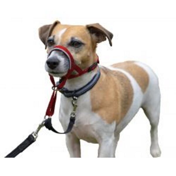 Halti Headcollar - Image 2